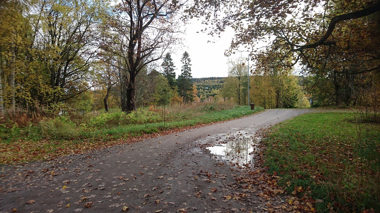 Image - dirt road after the rain puddle