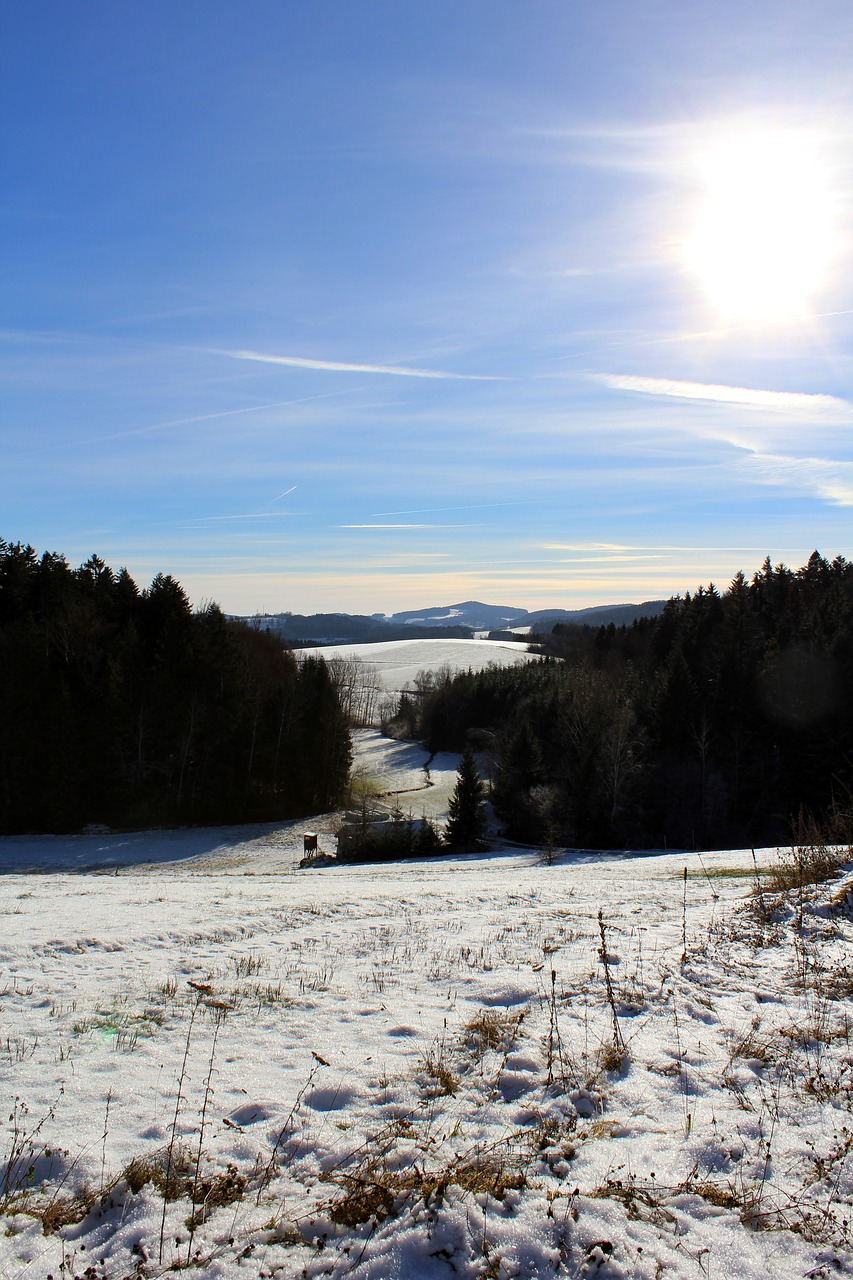 Image - winter niederbayern bavaria nature