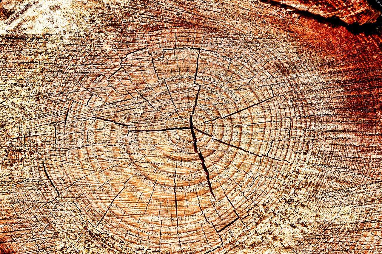 Image - wood structure texture background