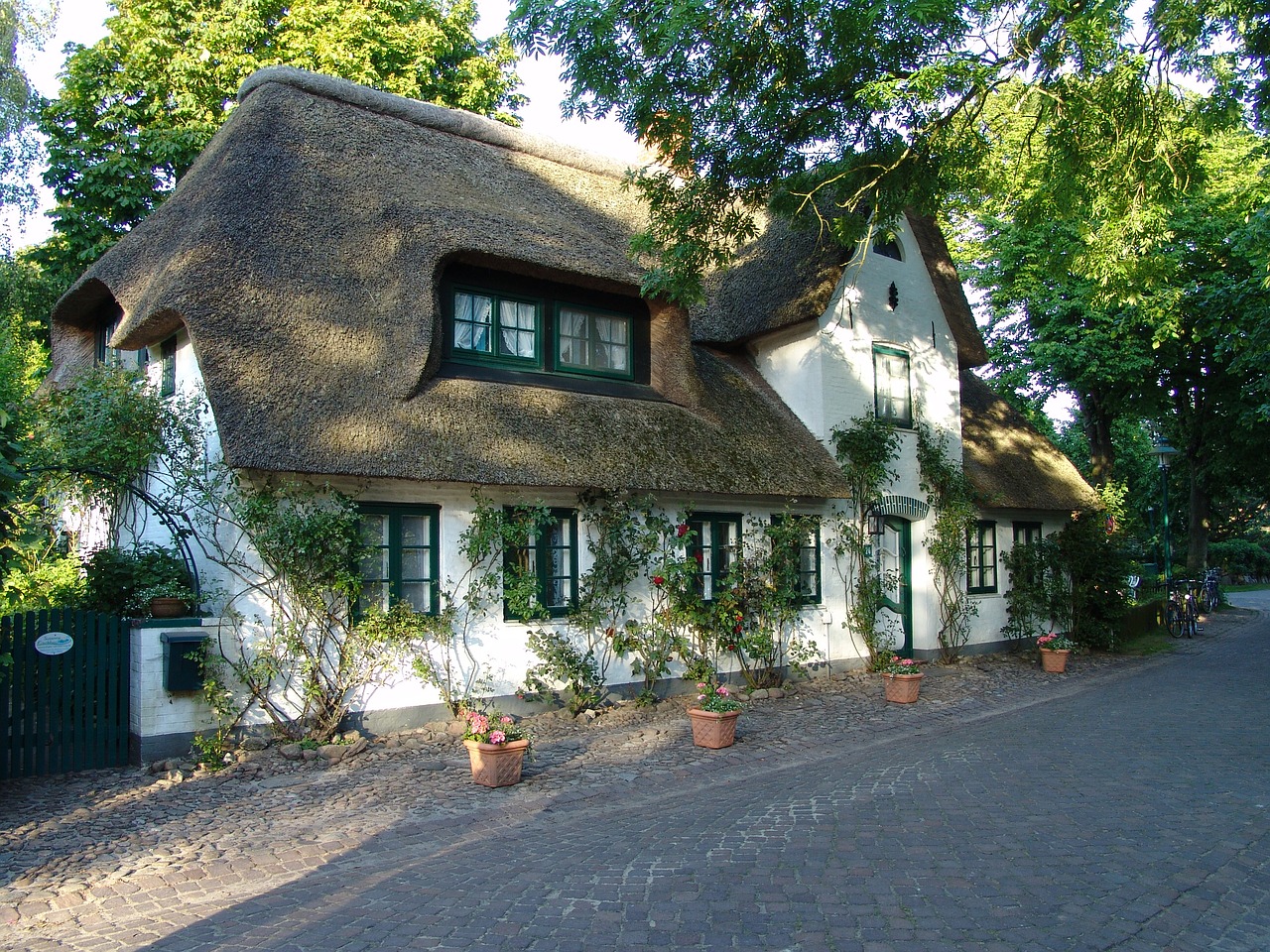 Image - home reed thatched roof holstein