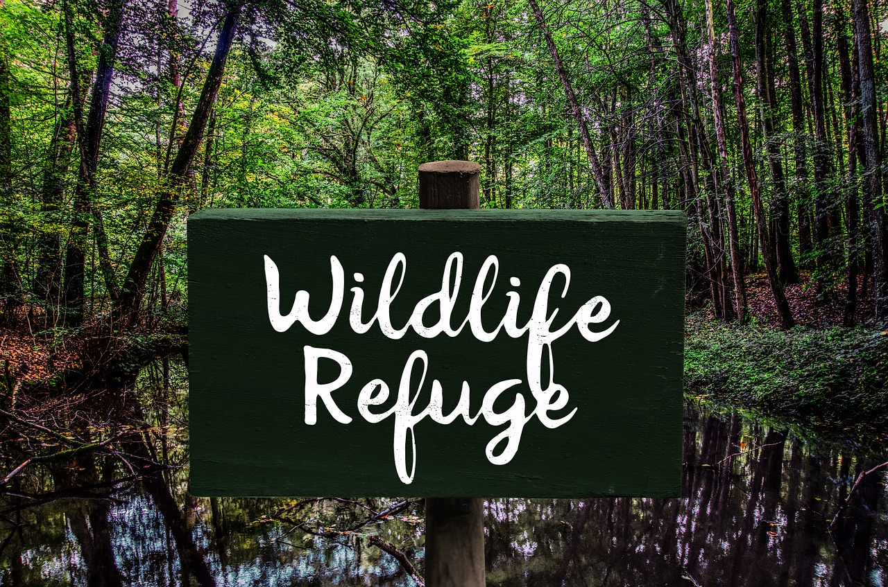 Image - shield nature conservation