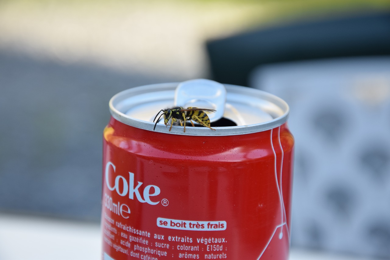 Image - wasp sugar coca drink coca cola