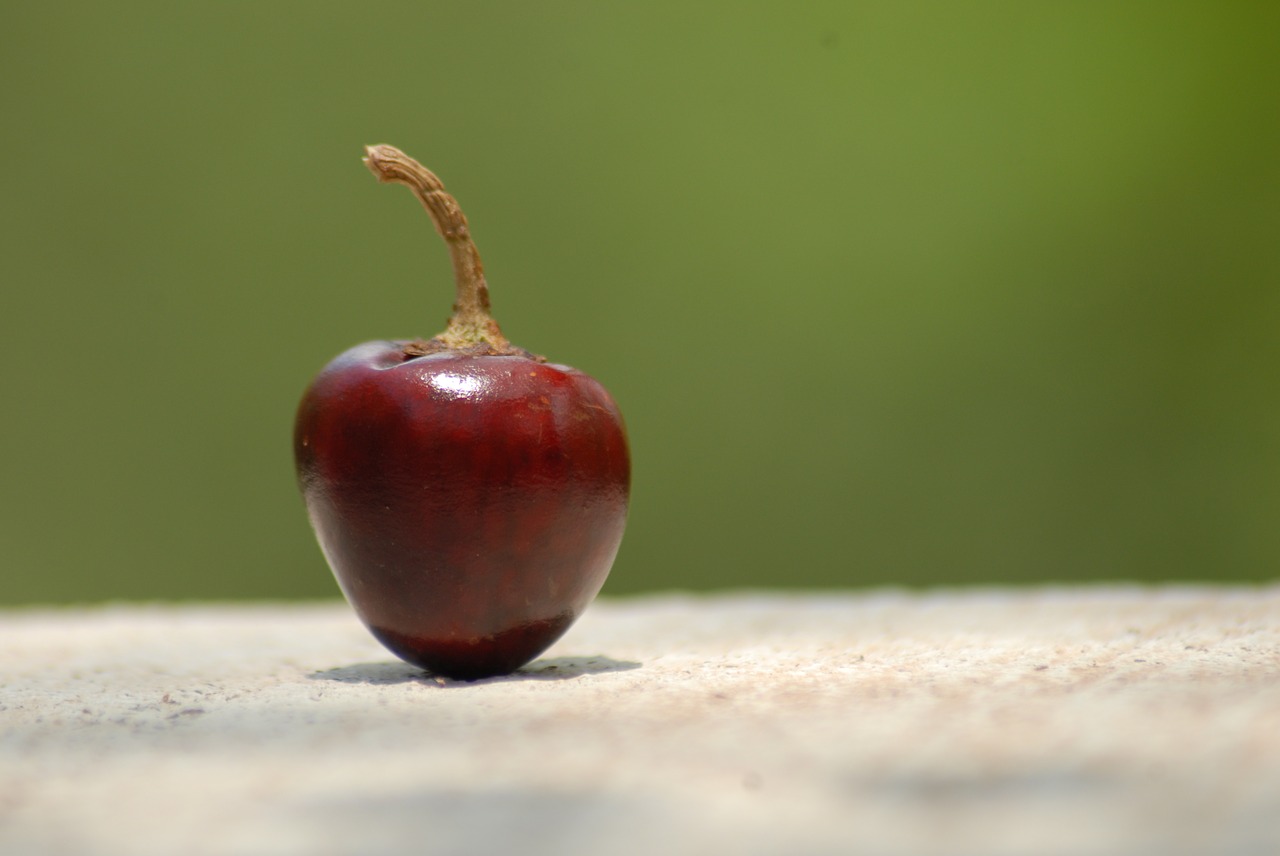 Image - chile apple spicy nature