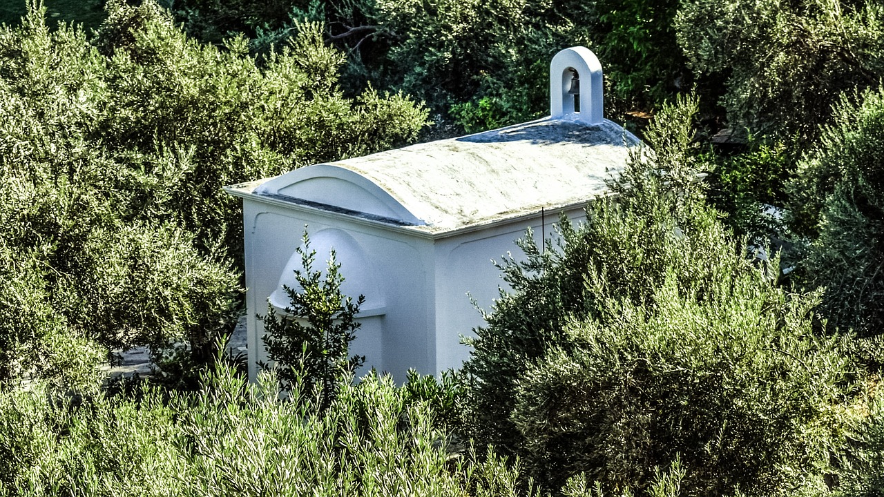 Image - chapel olive tree religion church