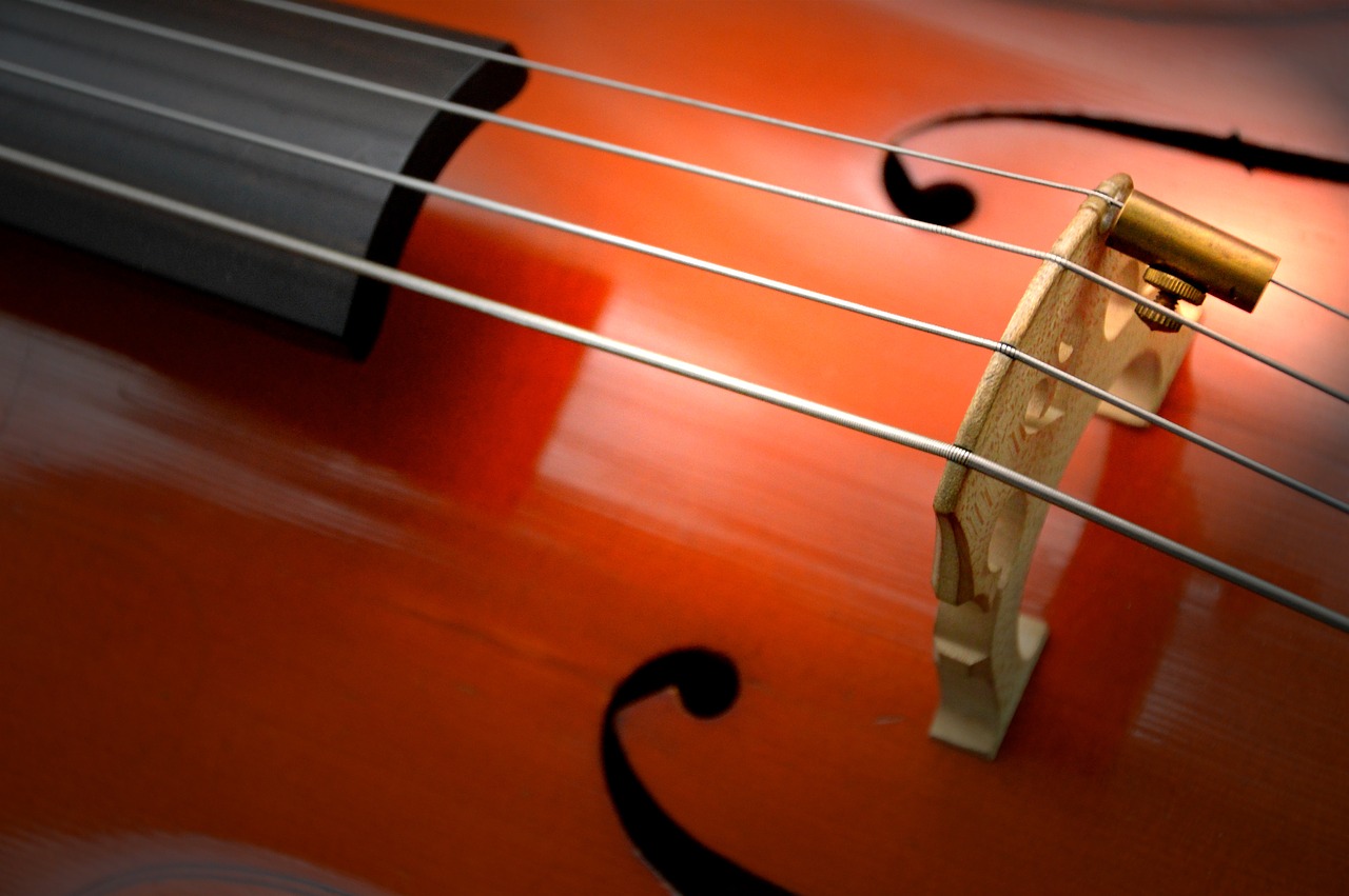 Image - cello strings stringed instrument