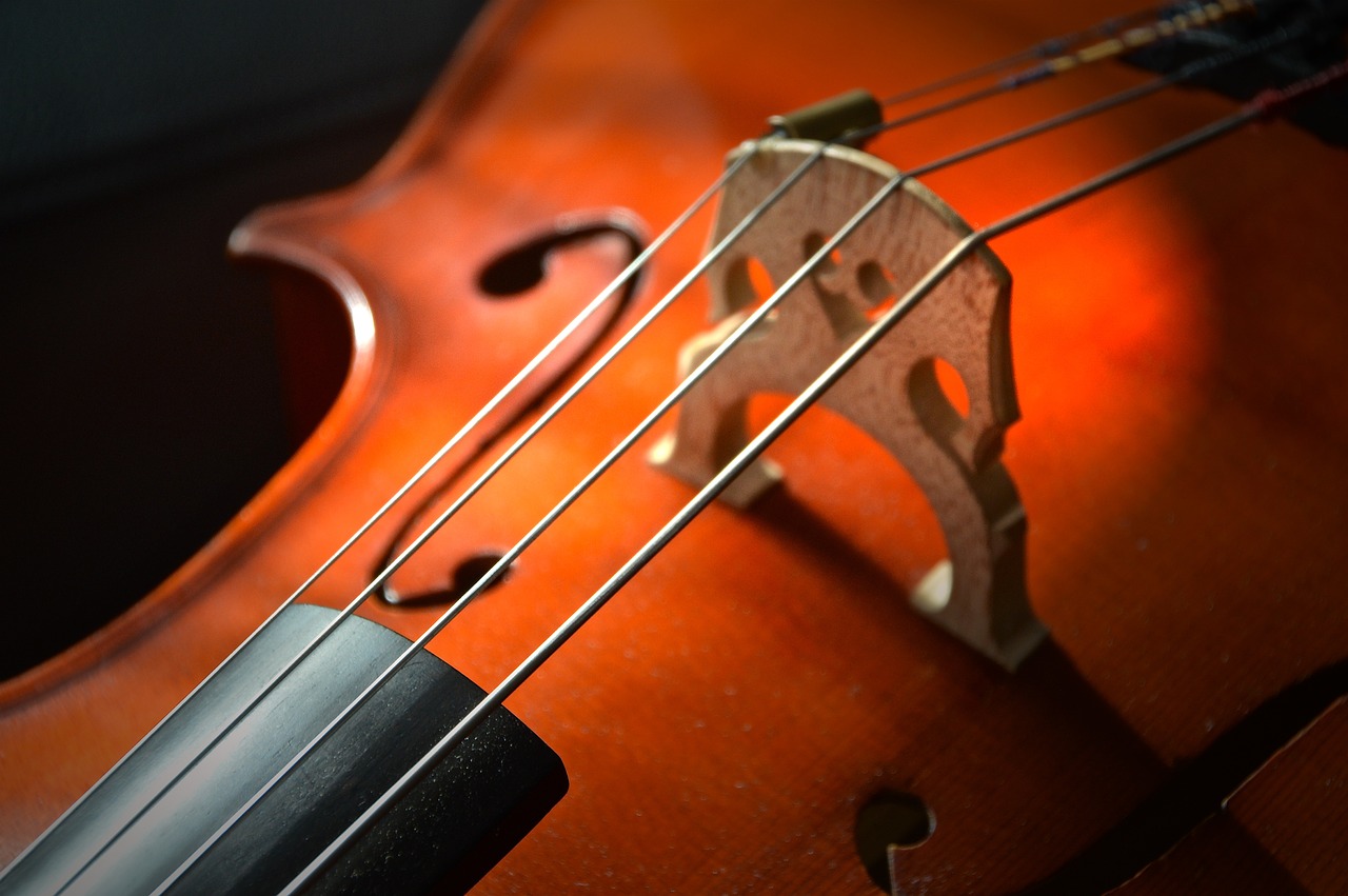 Image - cello strings stringed instrument