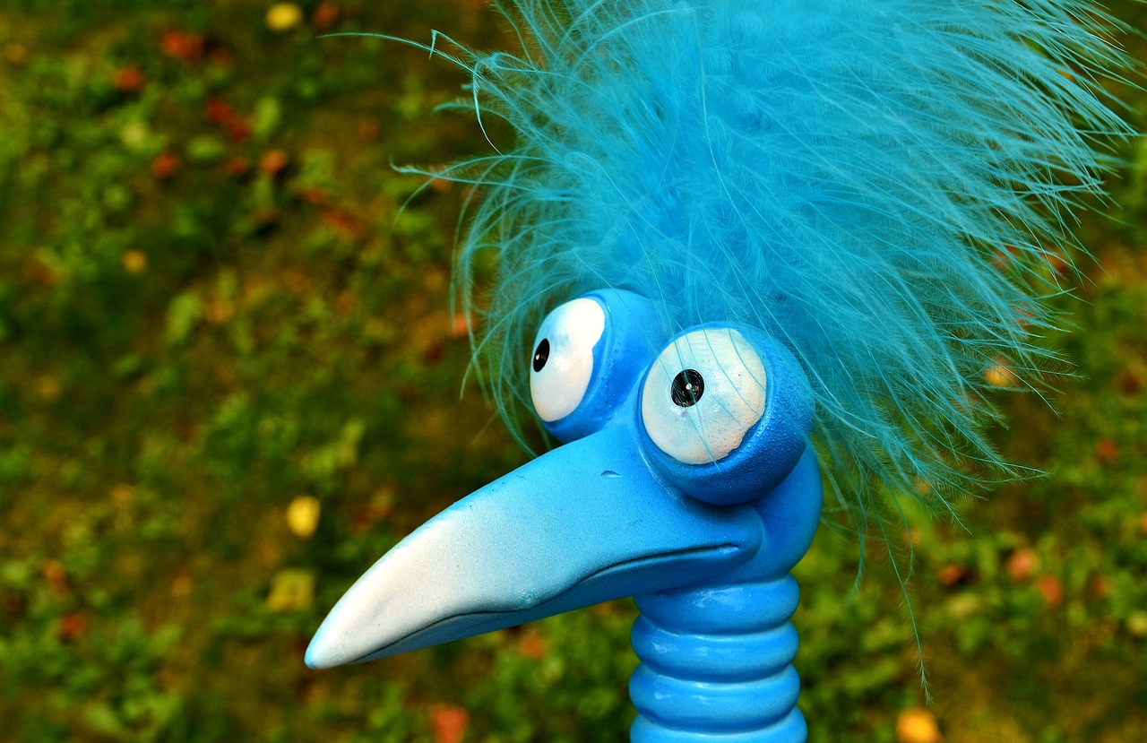 Image - joker blue funny weird bird cute