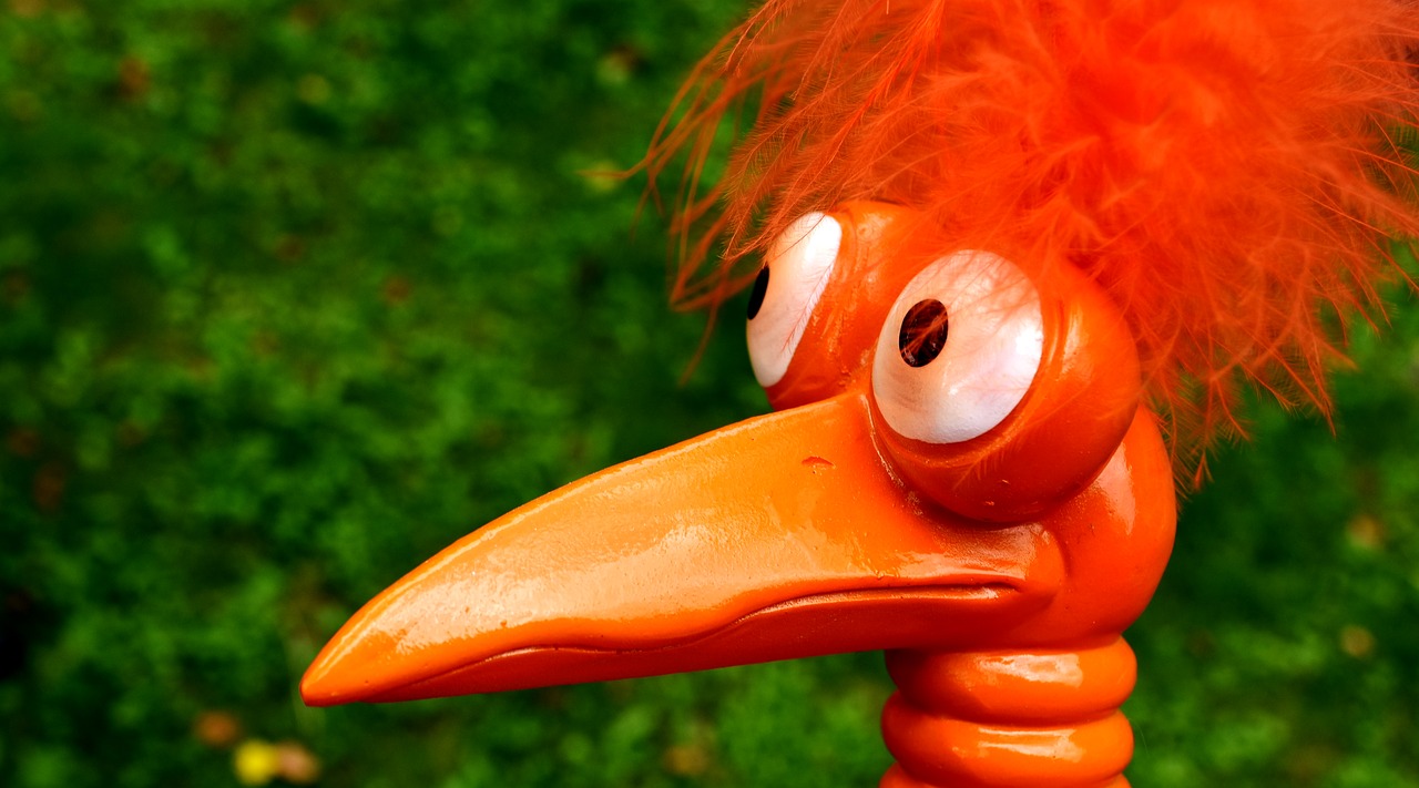 Image - joker orange funny weird bird cute