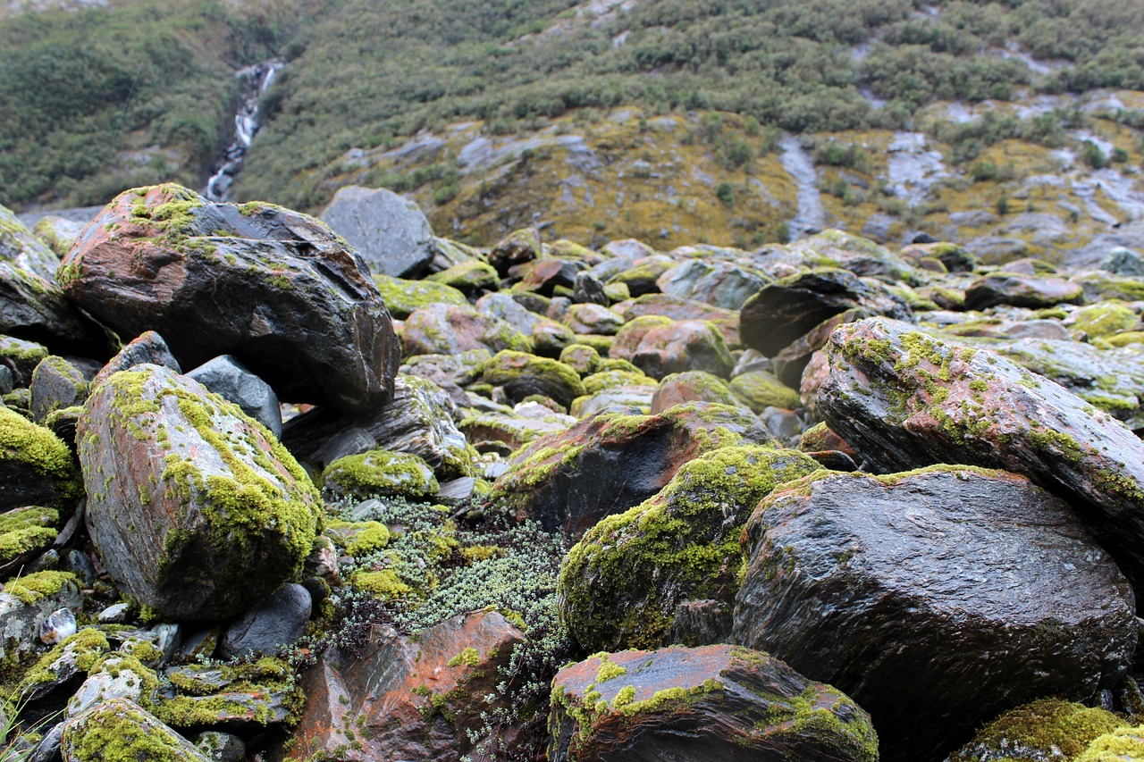 Image - stones moss scree green grey