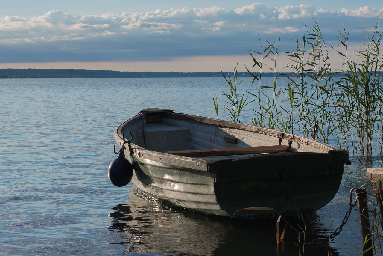 Image - lake lake balaton water nature