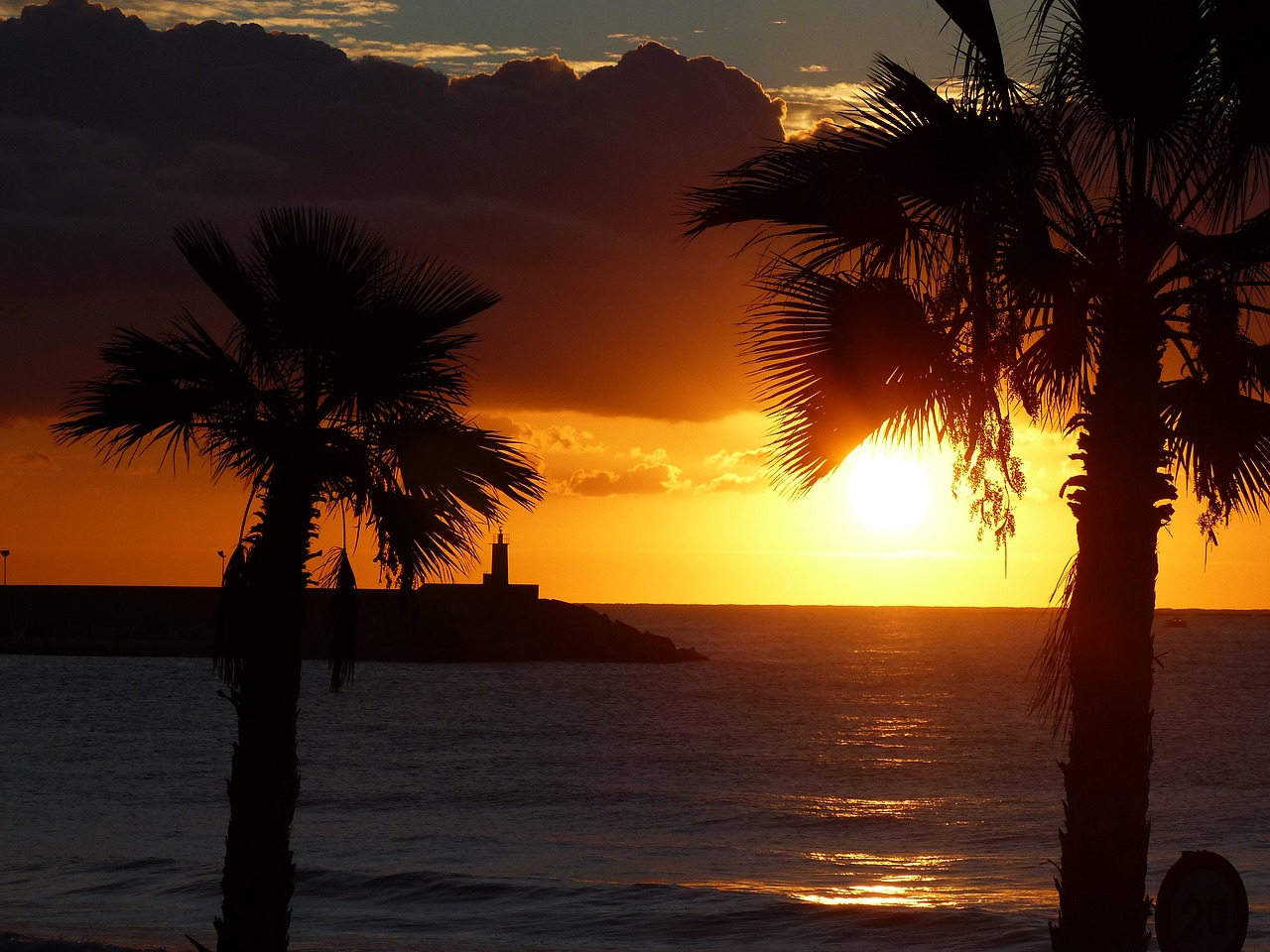 Image - dawn palms horizon