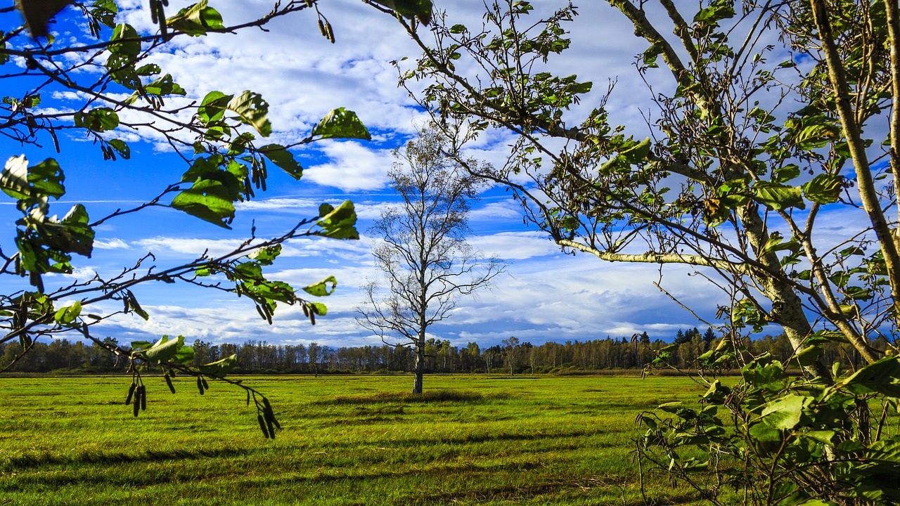 Image - spring lake bad buchau autumn