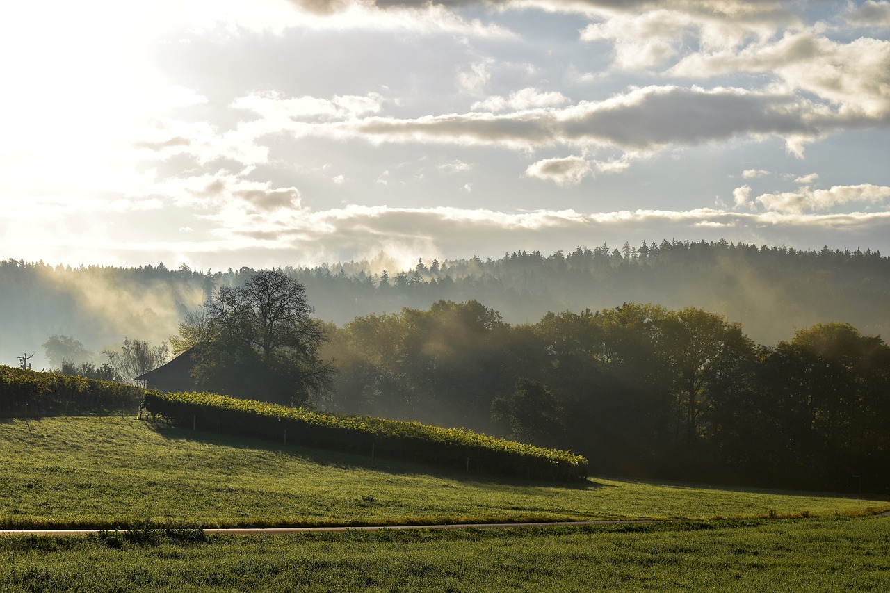 Image - autumn landscape fog sky clouds