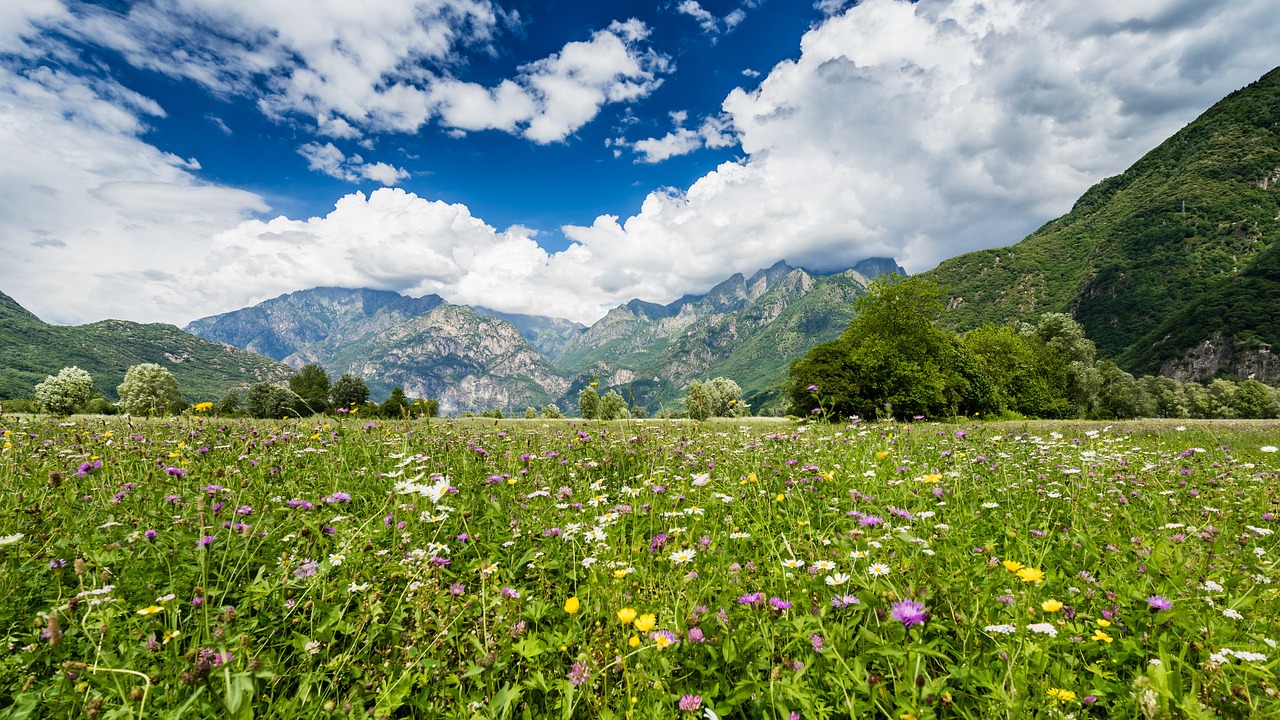 Image - landscape valtellina meadows