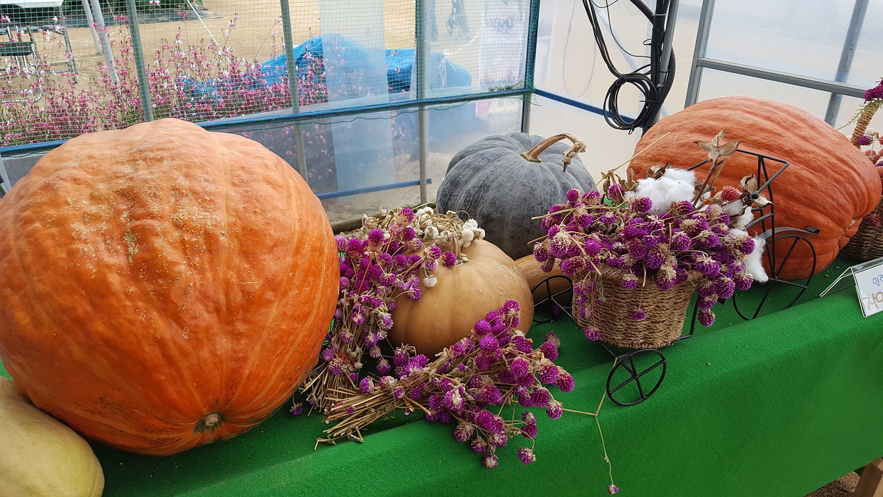 Image - super pumpkin pumpkin food