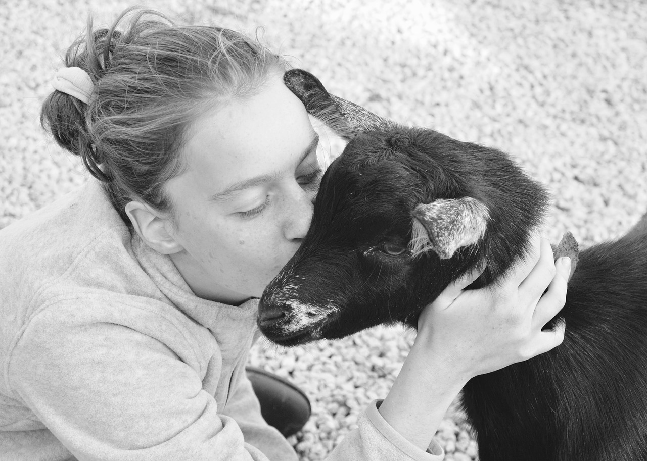 Image - kiss kisses girl young woman goat