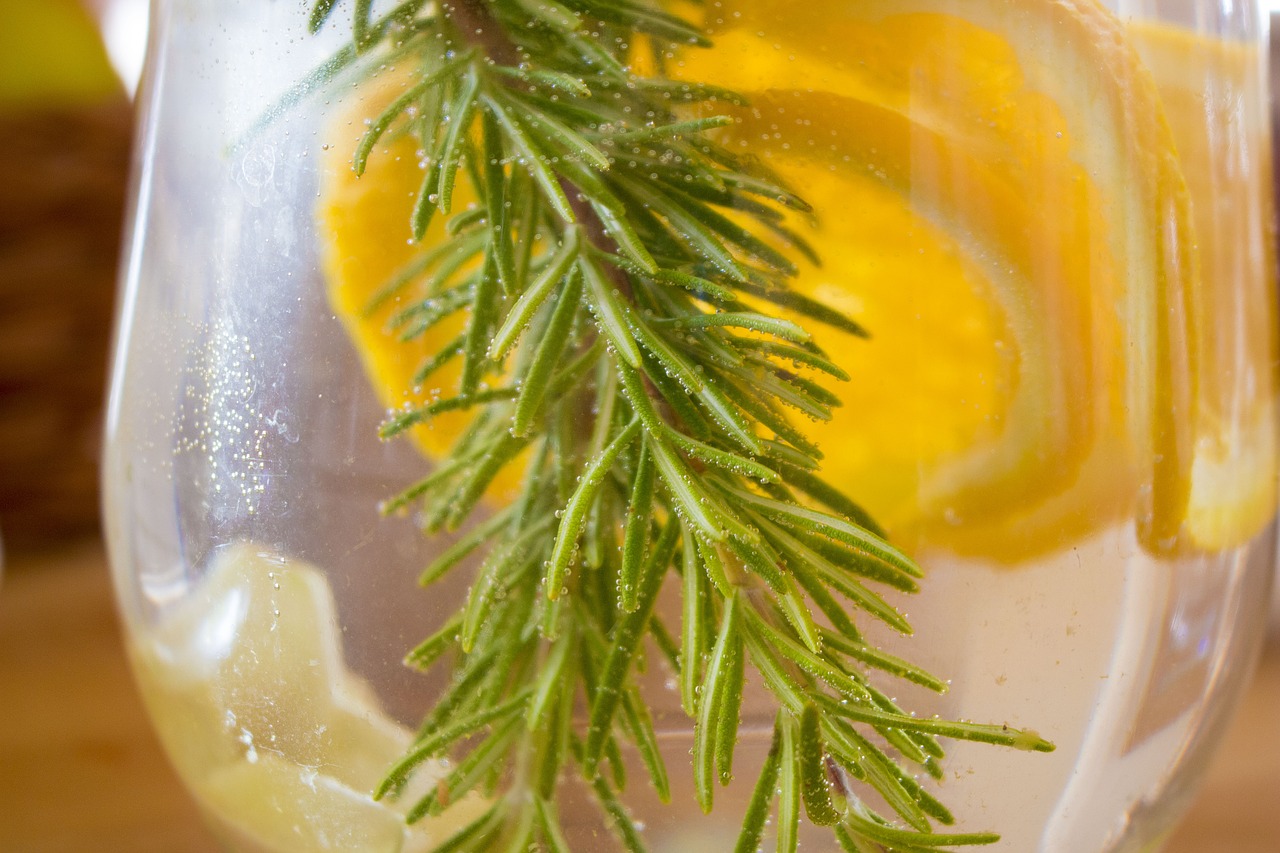 Image - lemonade rozmarína oranges dewy