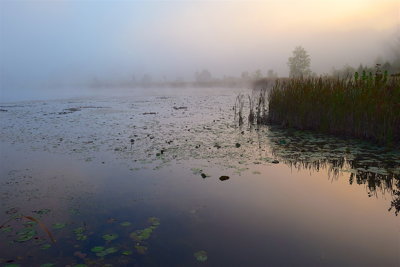 Image - lake mist morning sunrise water