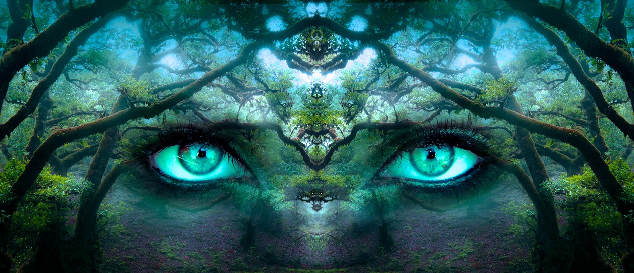 Image - fantasy eyes forest aesthetic face