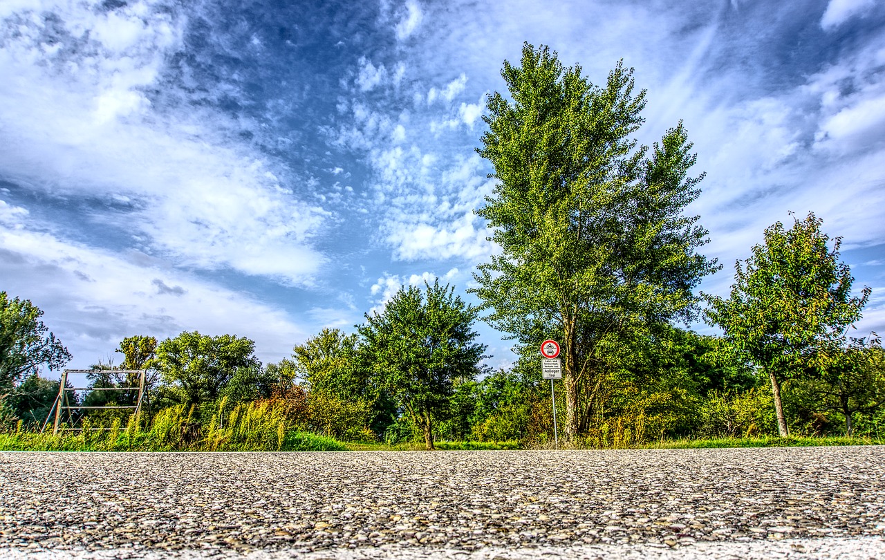 Image - road asphalt landscape trees