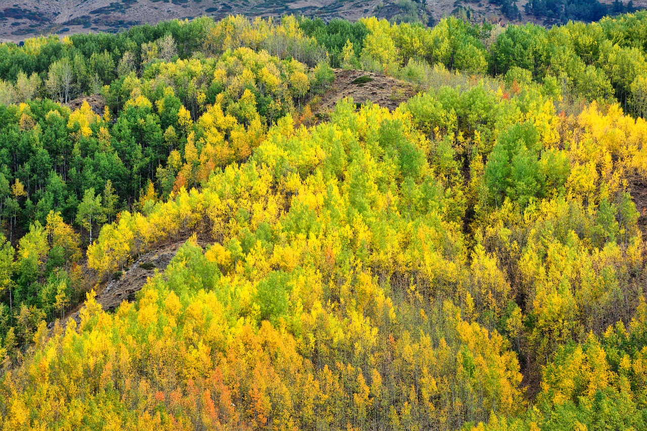 Image - turkey nature landscape kaçkars