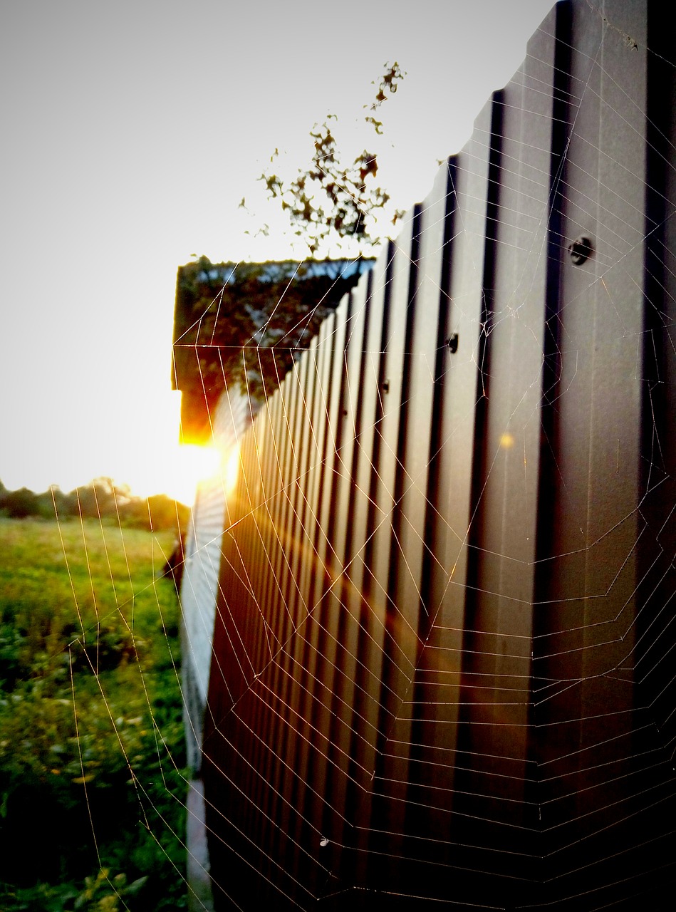 Image - fence spider web ray dawn