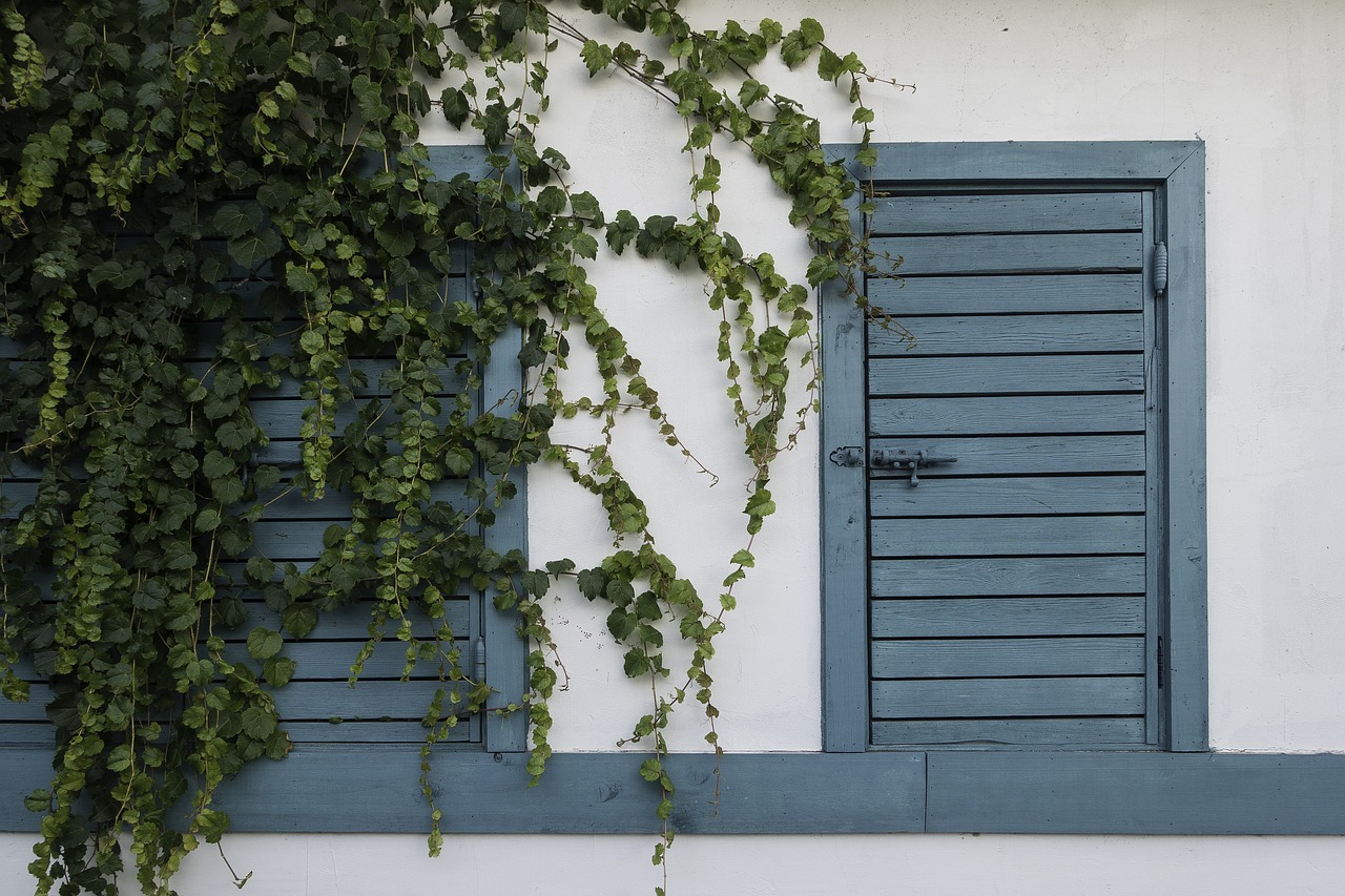 Image - door facade green home house ivy