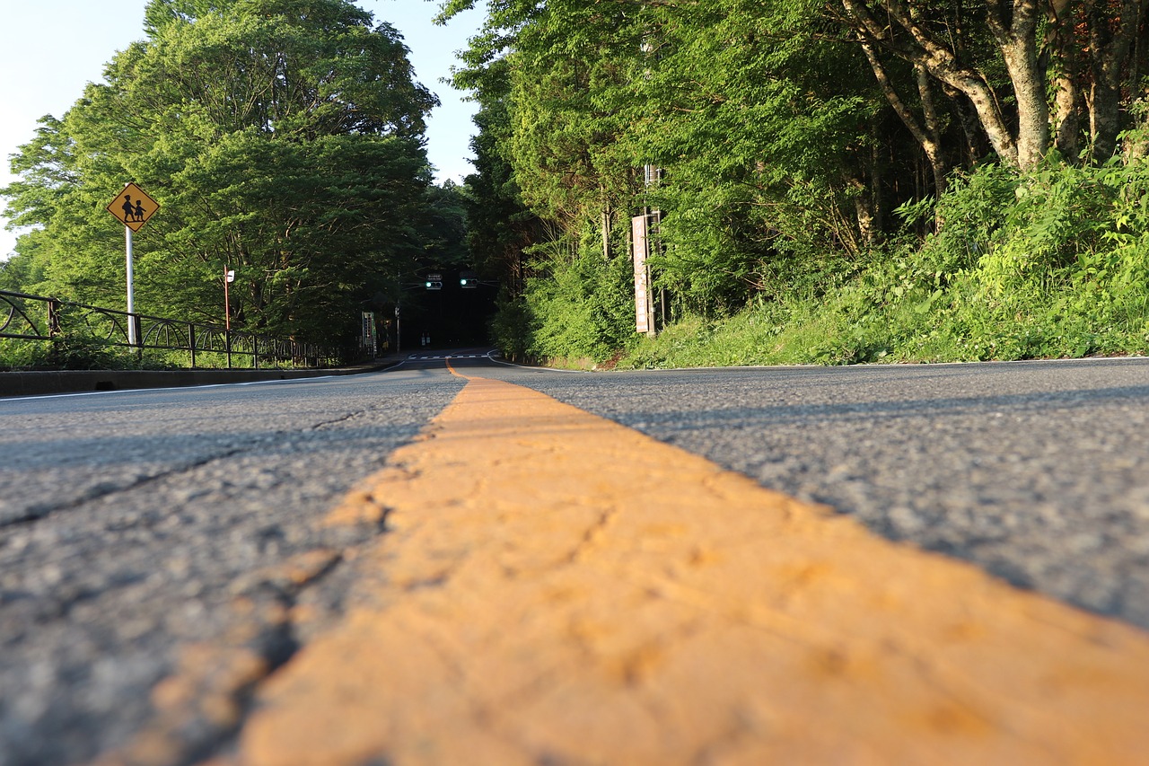 Image - highway horizon trees