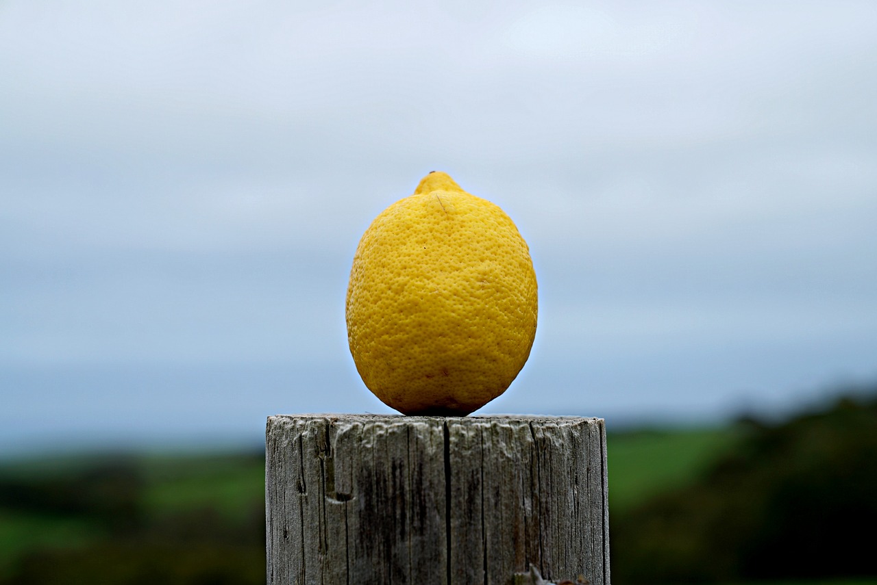 Image - lemon natural farmland yellow