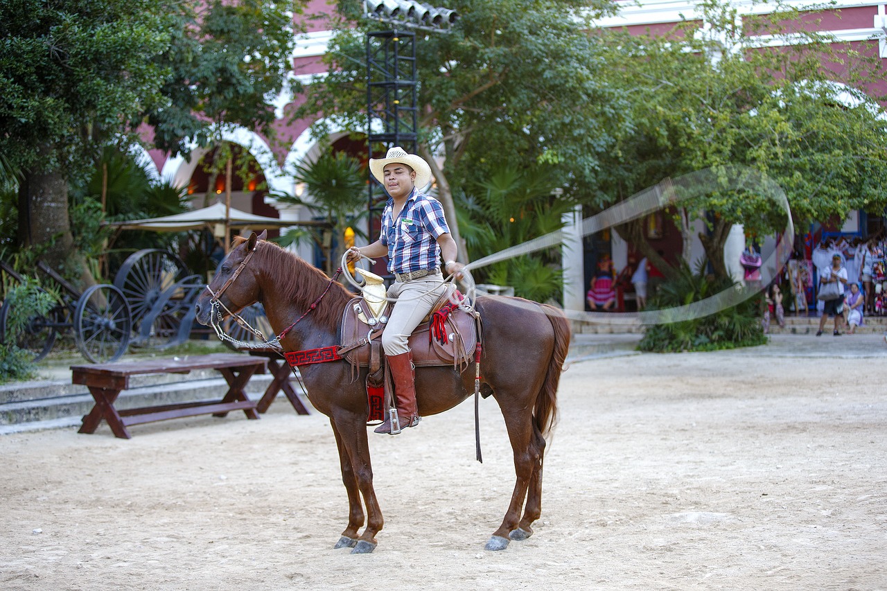 Image - cowboy mexico lasso rider sombrero