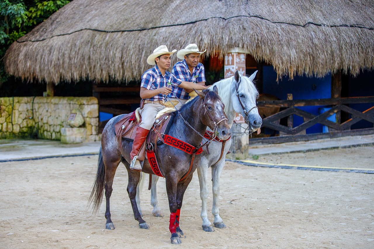 Image - cowboy mexico rider sombrero