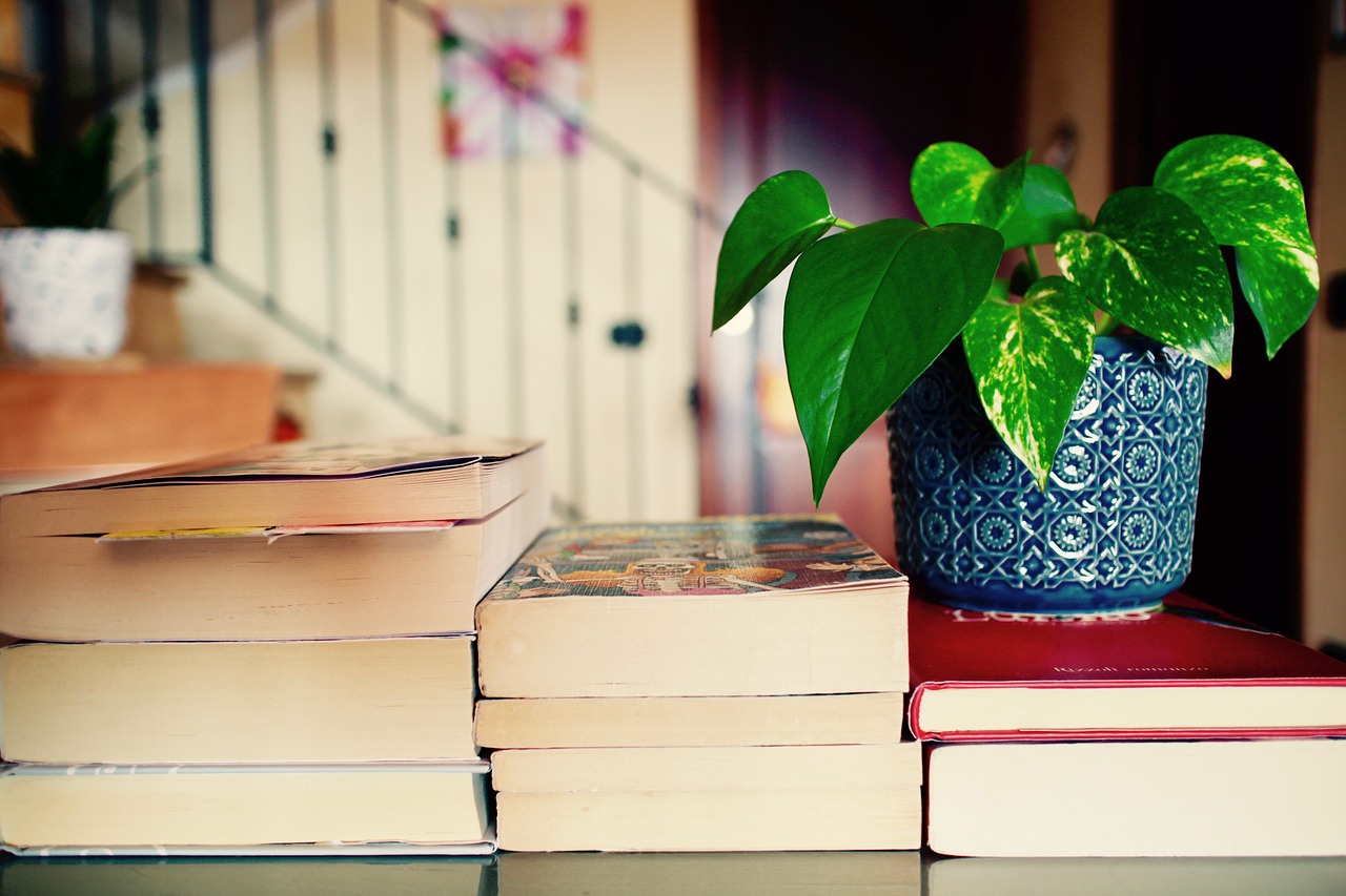 Image - books leisure reading culture