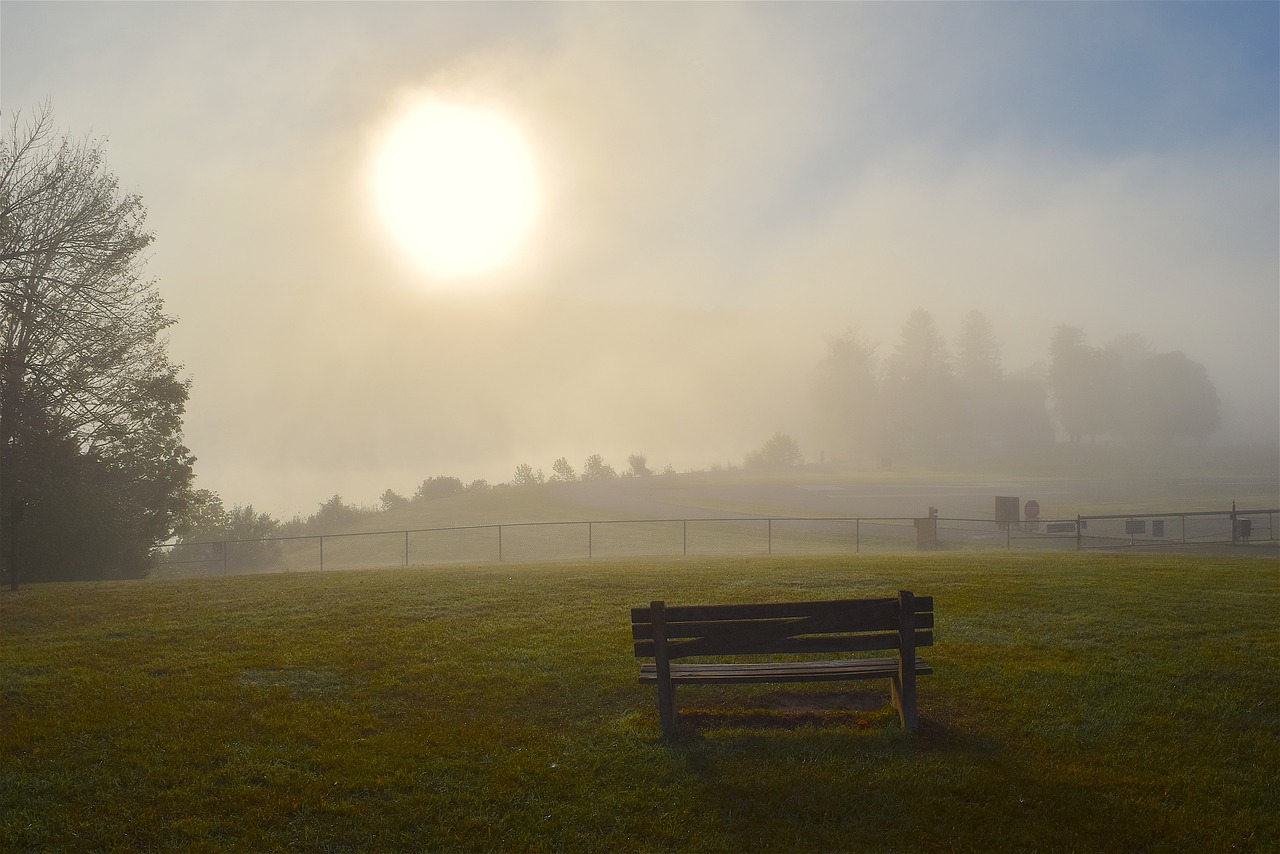 Image - sunrise fog field bench park