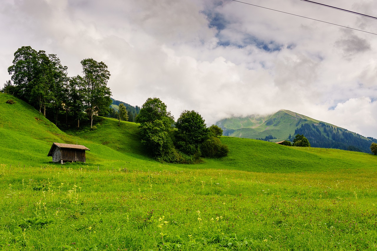 Image - hill mountains diemtigtal