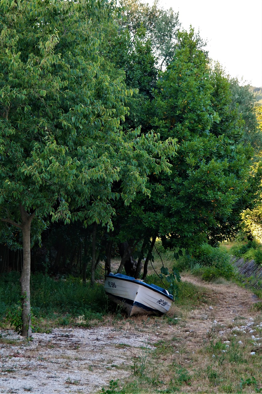 Image - boot landscape stranded nature