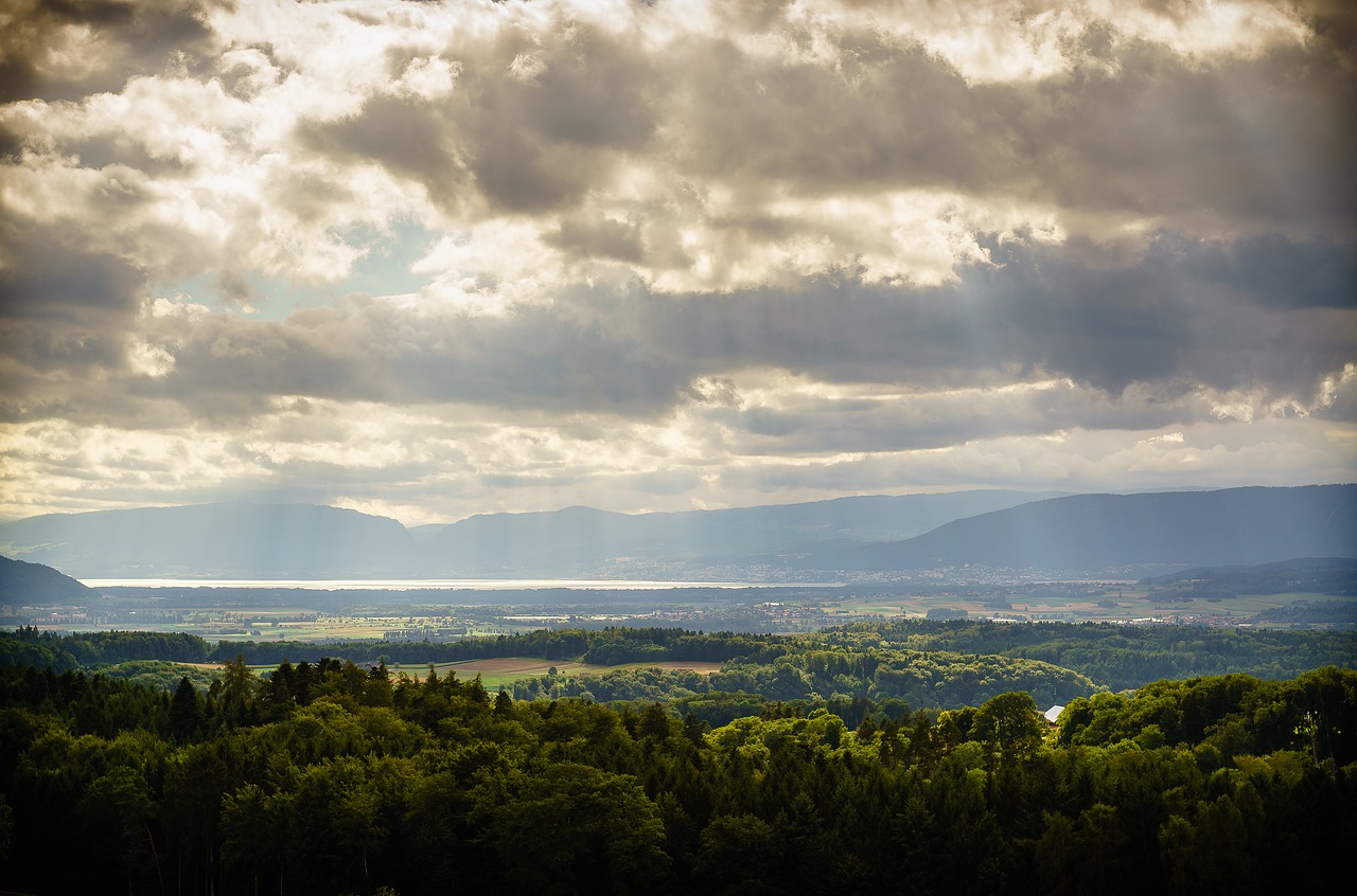 Image - lake sunny weather frieswil bern