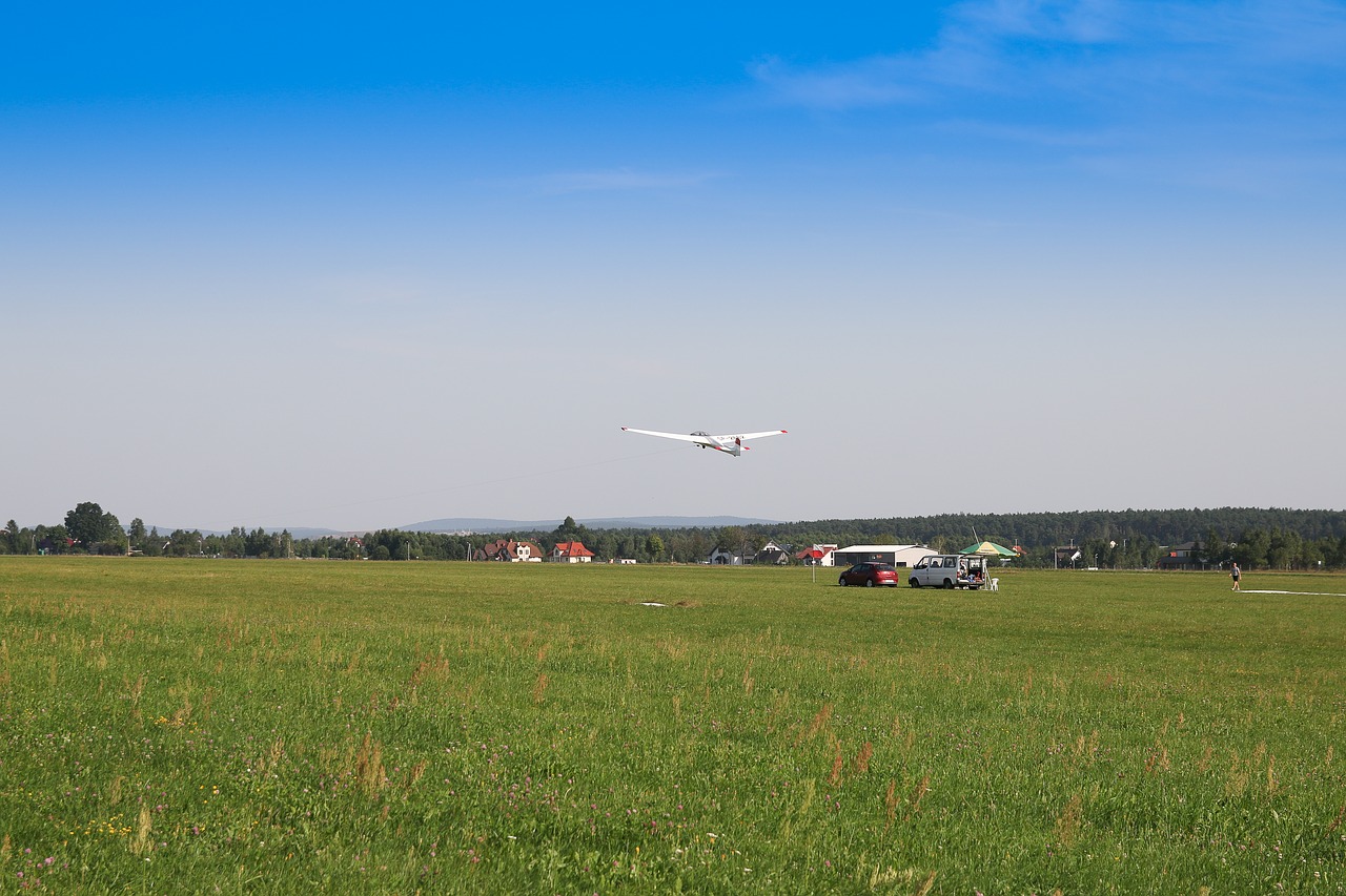 Image - glider fly aviation sky wings