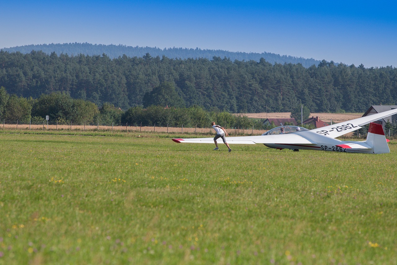 Image - glider fly aviation sky wings