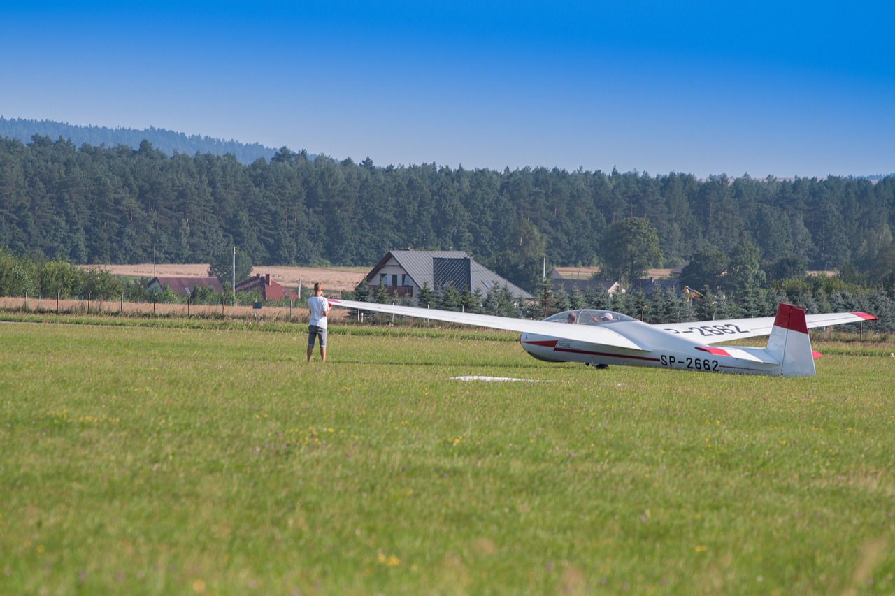 Image - glider fly aviation sky wings