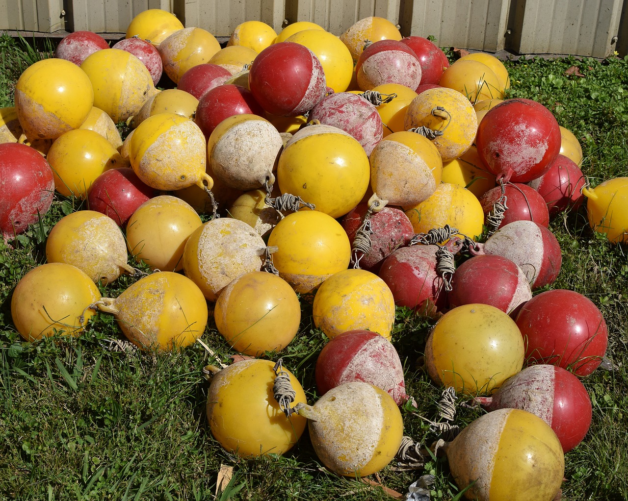 Image - used lane floats skull rowing