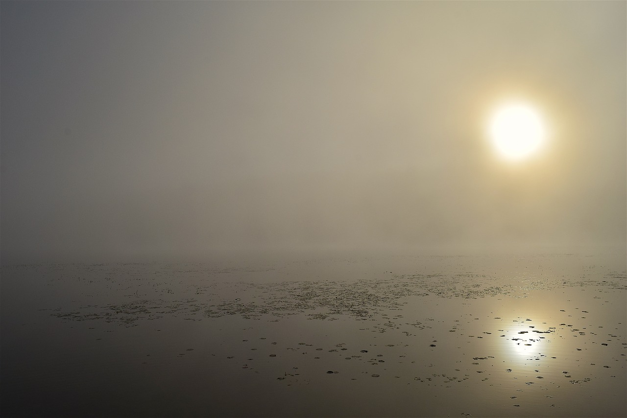 Image - sun lake mist fog morning nature