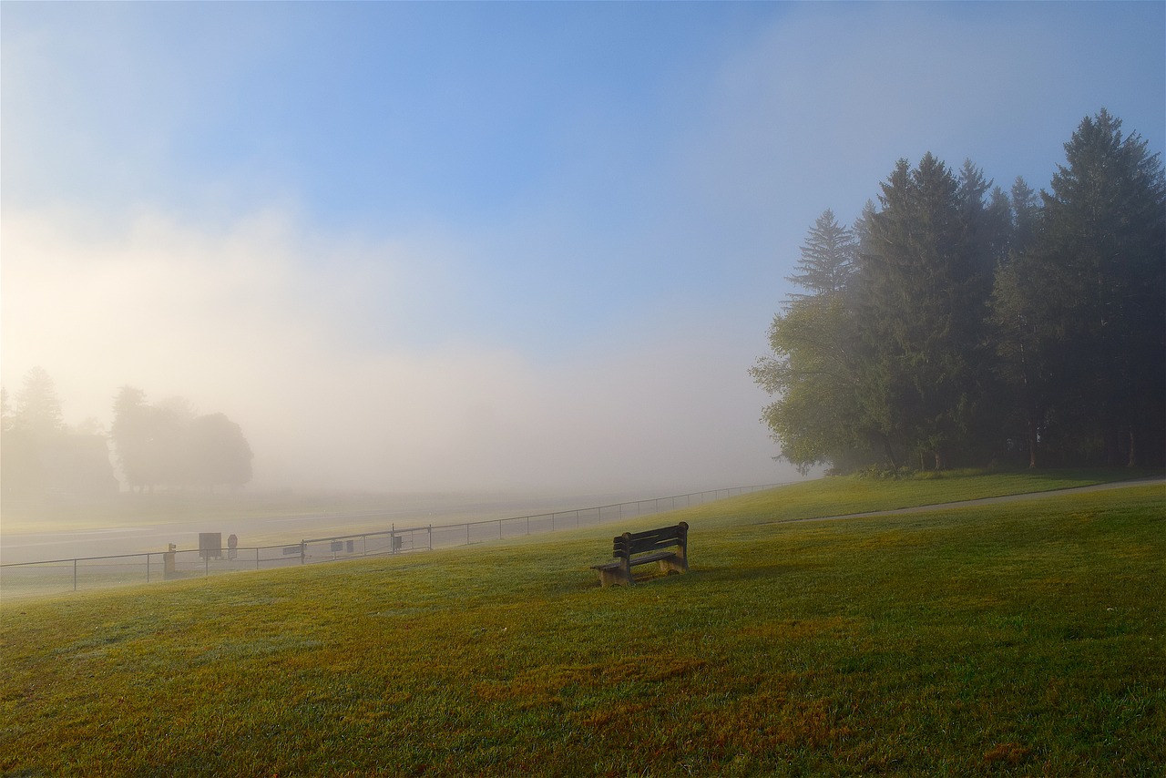 Image - field mist morning park bench