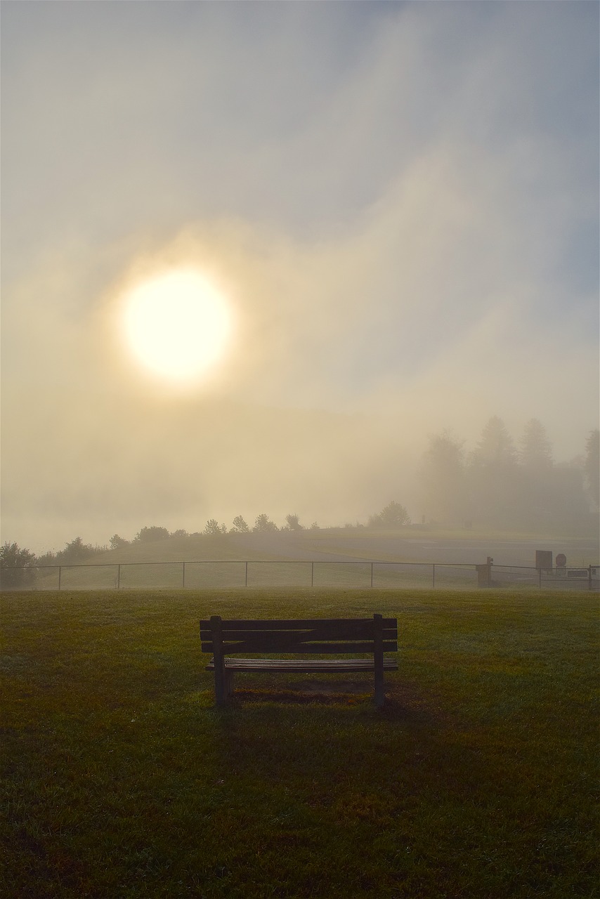 Image - sun mist morning park bench grass