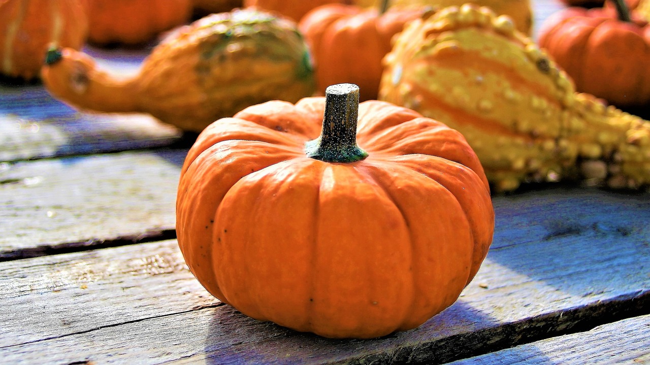 Image - orange ornamental pumpkins