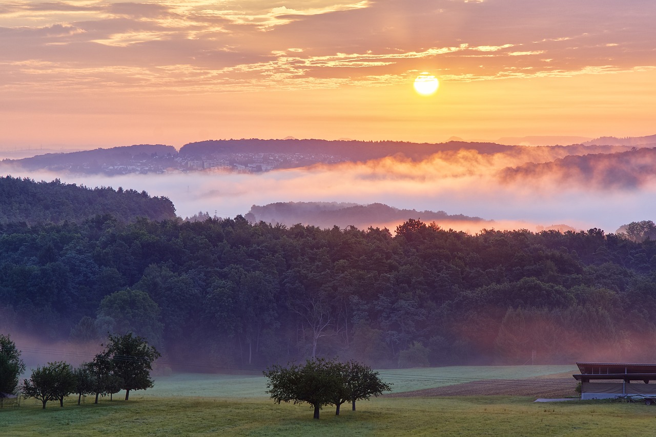 Image - morning fog nature landscape mood