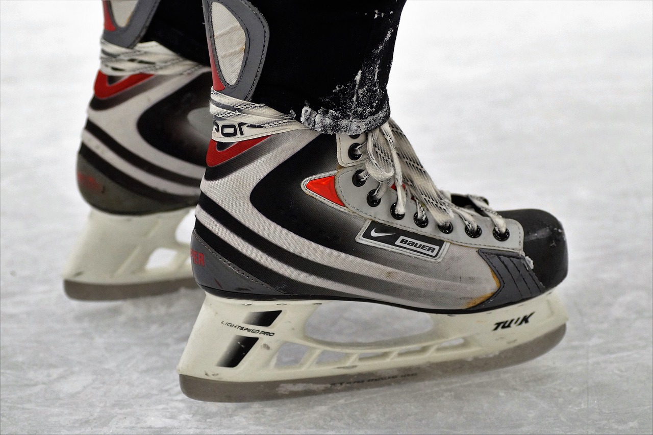 Image - skates polar area the blade