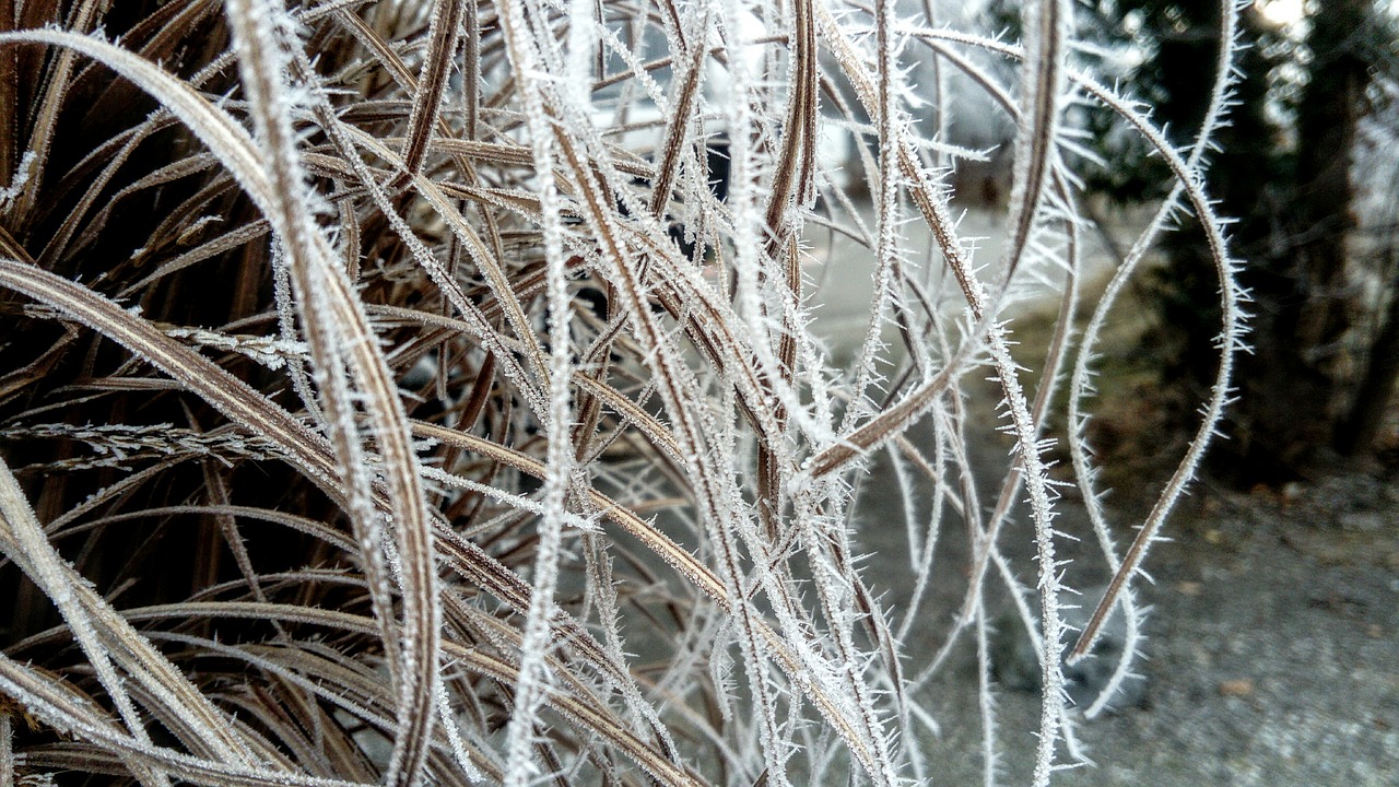 Image - crystals of dreams frost thin