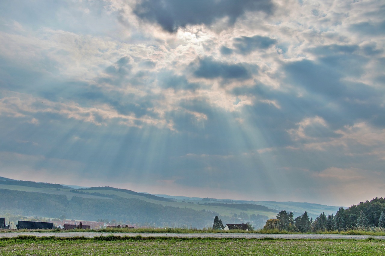 Image - meadow field bauer land nature