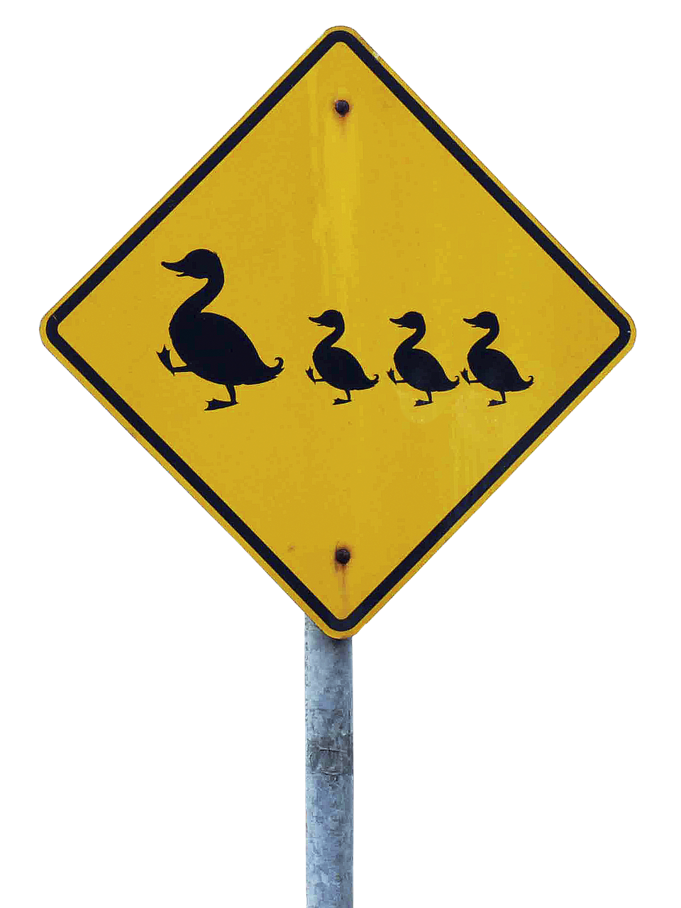 Image - shield traffic sign caution ducks