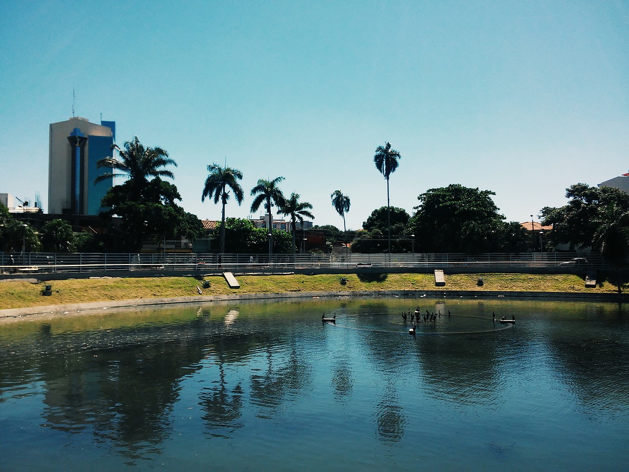 Image - city park plaza lake architecture